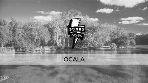 meetup ocala|meetup groups in ocala fl.